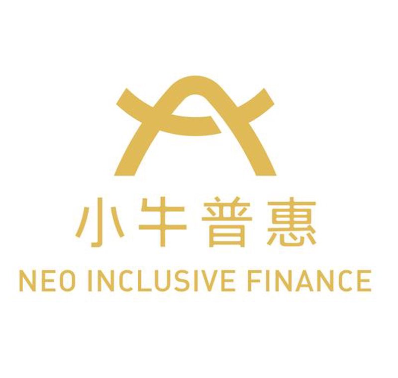 联想海外控股有限公司：拓展全球市场的新篇章
